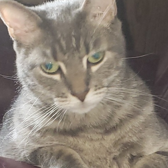 Meet your Posher, Jennifer - Picture 1 of 1